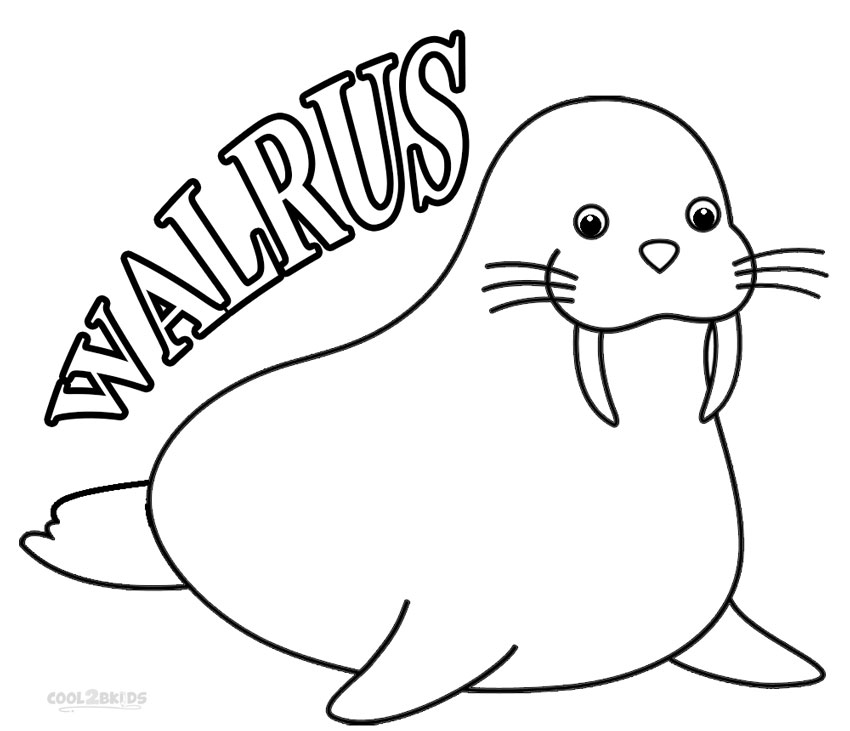 850x731 Walrus Pictures To Print Collection Of Solutions Walrus Coloring