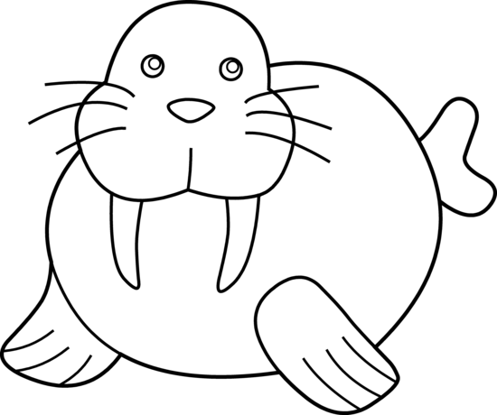 550x460 Cute Walrus Coloring Page