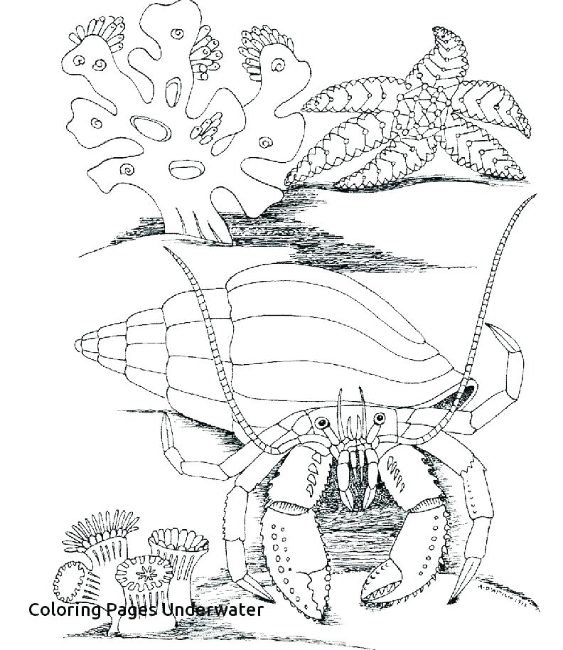 792x914 Disney World Coloring Pages