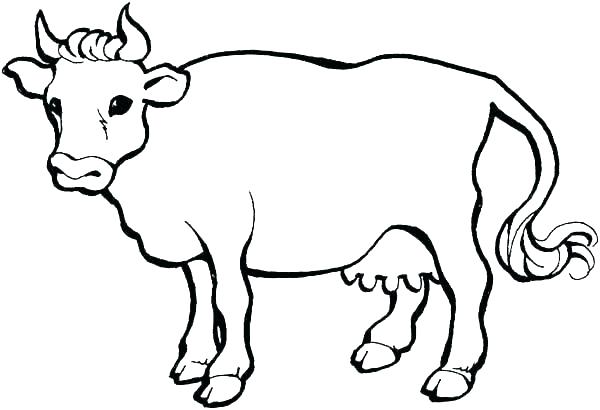 600x410 Wanted Coloring Page Of A Cow Pages