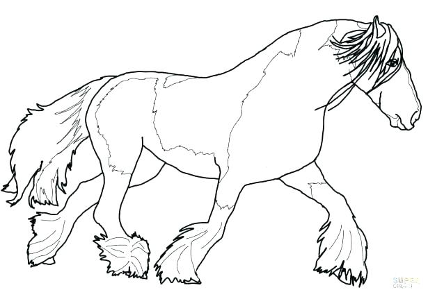 615x428 Coloring Pages Online For Adults Carousel Animals War Animal Book