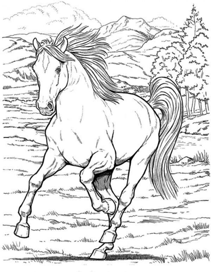 700x900 Free Realistic Wild Horse Coloring Pages To Print Animal