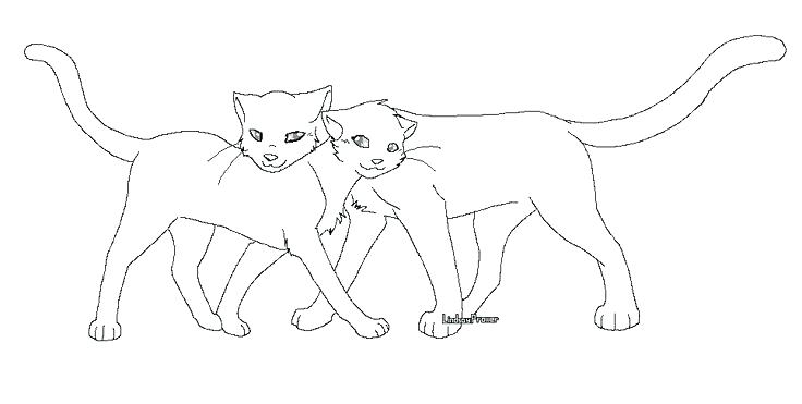 736x371 Warrior Cats Coloring Pages Excellent Warrior Cat Coloring Pages