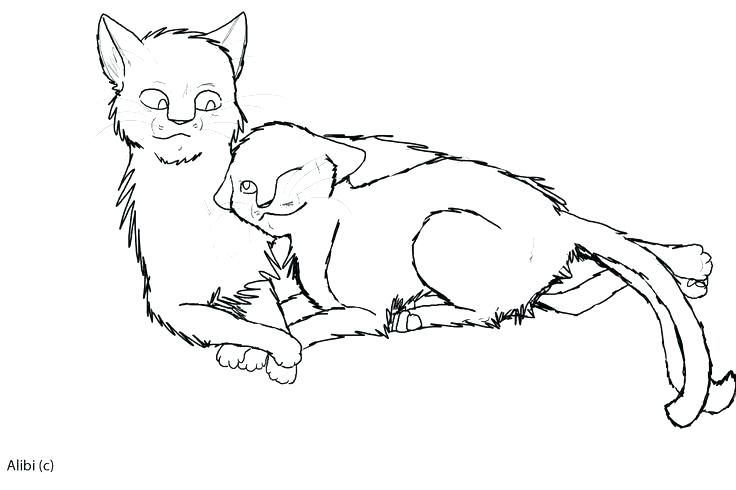 736x490 Warrior Cat Coloring Pages Kits