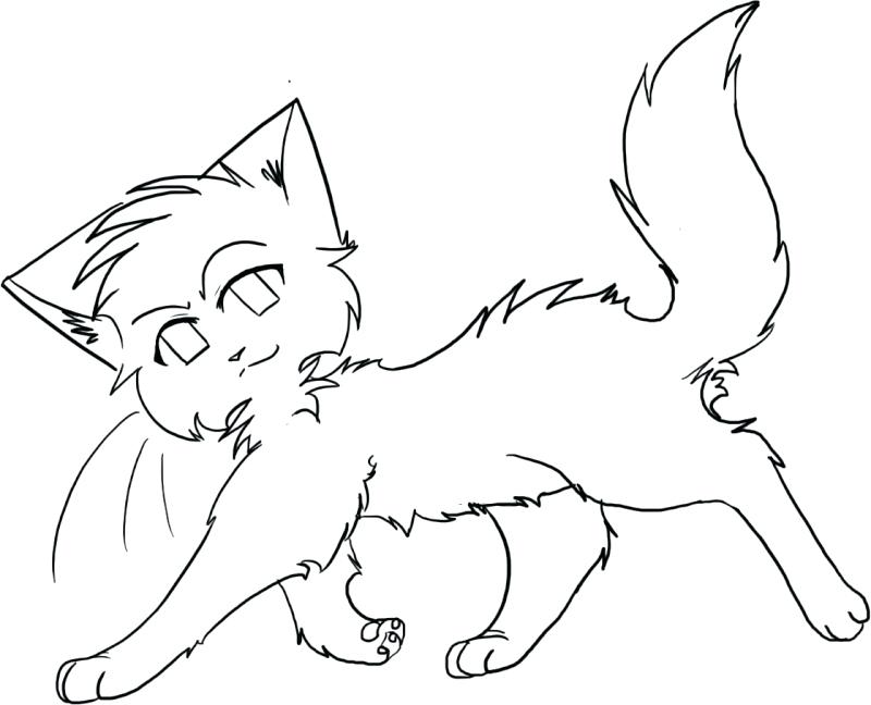 800x648 Warrior Cat Coloring Pages