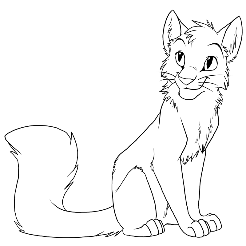 Warrior Cat Coloring Pages Newyork 800x800 Warrior Cat Coloring Pages Newyork