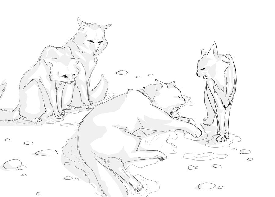 Warrior Cat Coloring Pages To Print 287038 900x643 Warrior Cat Coloring Pages To Print 287038