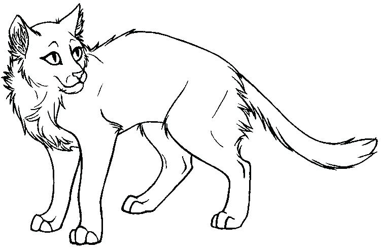 Warrior Cats Coloring Pages at GetColorings.com | Free printable ...