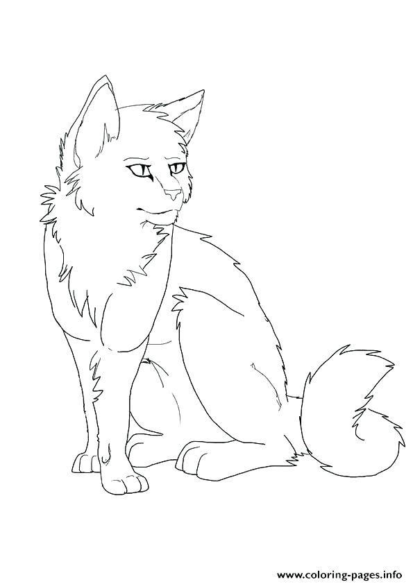 Warrior Cats Coloring Pages Tabby Cat Coloring Pages Kitty Cat 595x842 Warrior Cats Coloring Pages Tabby Cat Coloring Pages Kitty Cat