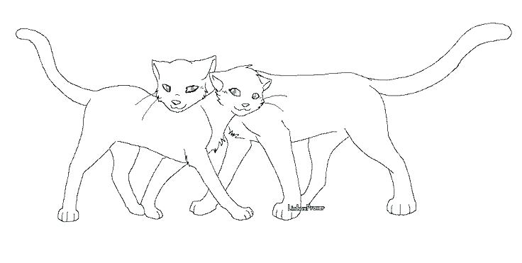 Astonishing Warriors Cats Coloring Pages 736x371 Astonishing Warriors Cats Coloring Pages