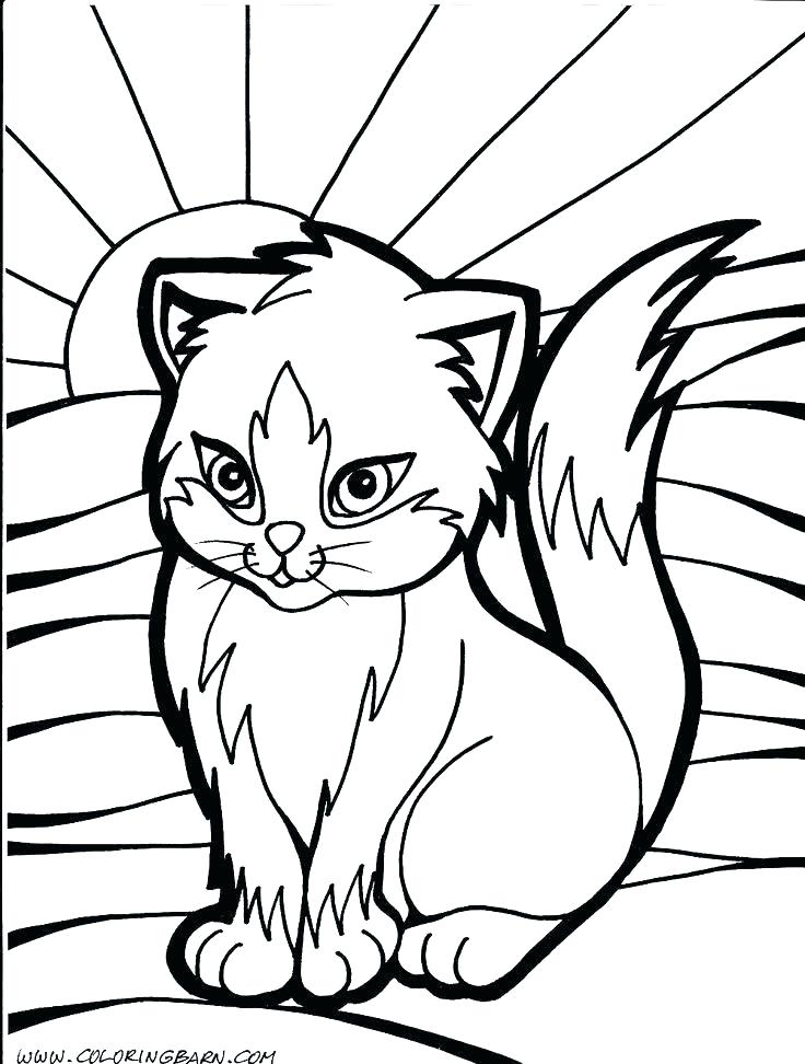 736x972 Warrior Cat Coloring Pages Warrior Colouring Pages Big Warrior Cat