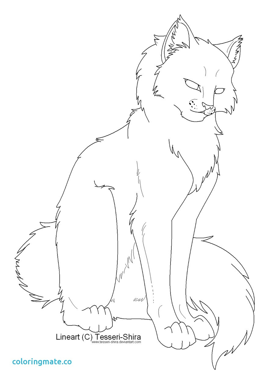 900x1238 Warrior Cats Coloring Pages Awesome Cute Cat Couple Picturesque