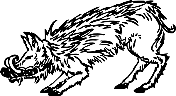 600x330 Warthog Clip Art