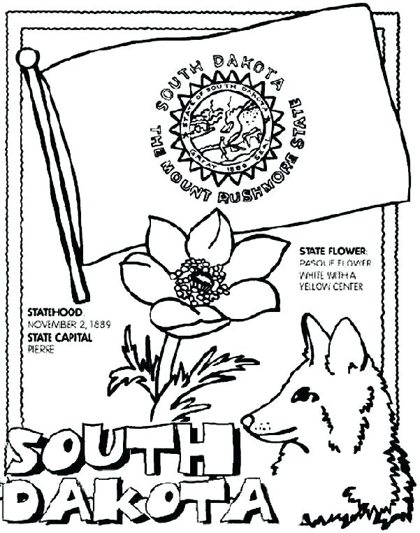 601x762 Free Printable State Flower Coloring Pages Click To See Printable