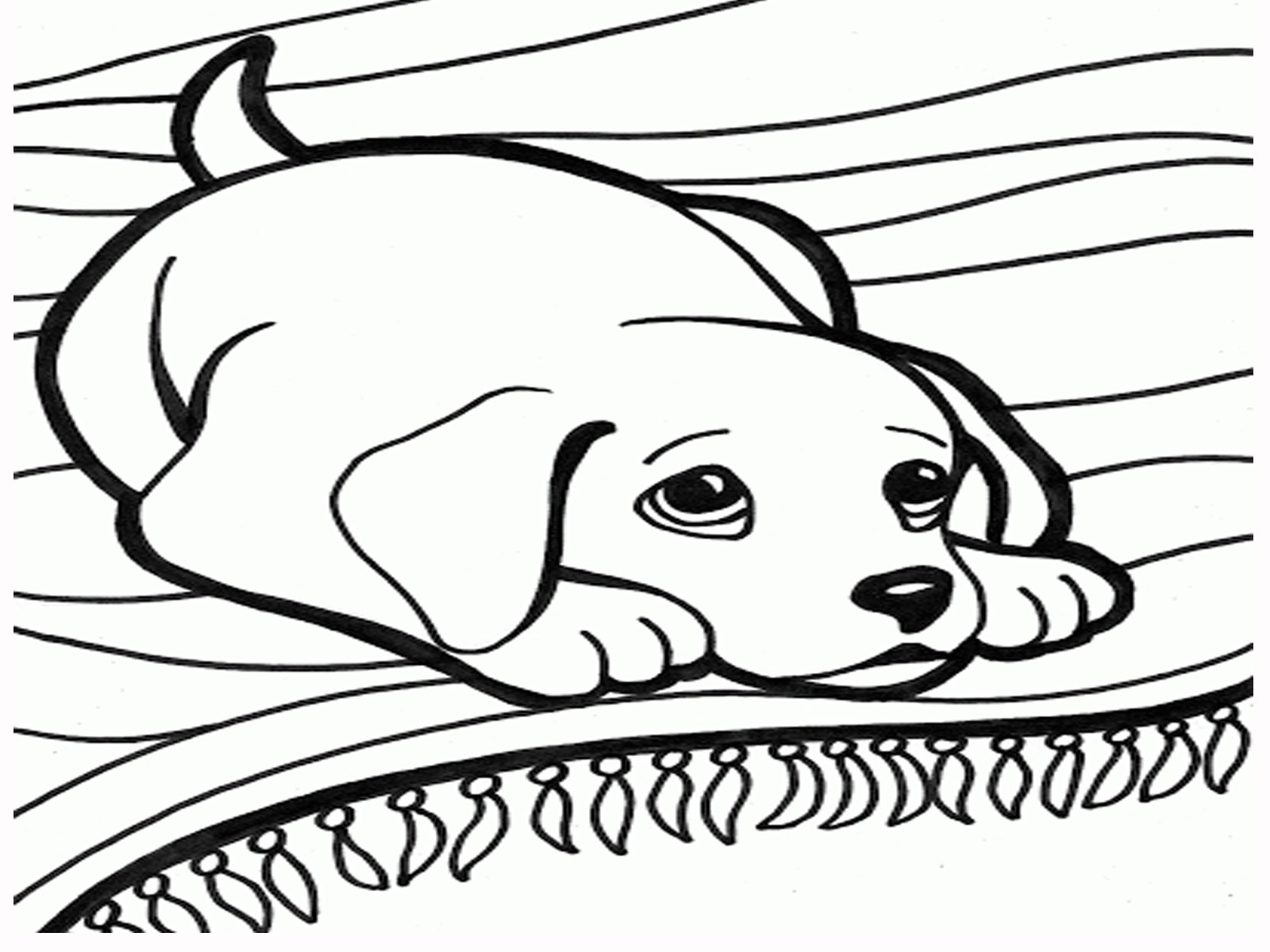 1600x1200 Best Wmgpgru In Dog Coloring Pages On With Hd Resolution 1600x1200