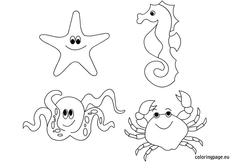 Realistic Ocean Animals Coloring Pages Printable Coloring Sea 822x575 Realistic Ocean Animals Coloring Pages Printable Coloring Sea