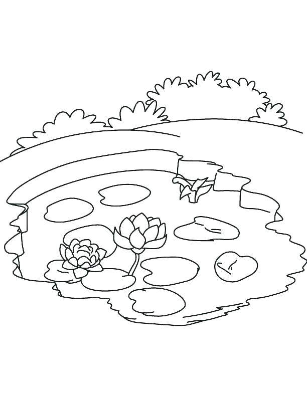 Water Bottle Coloring Page Coloring Pages Of Water Water Cycle 612x792 Water Bottle Coloring Page Coloring Pages Of Water Water Cycle