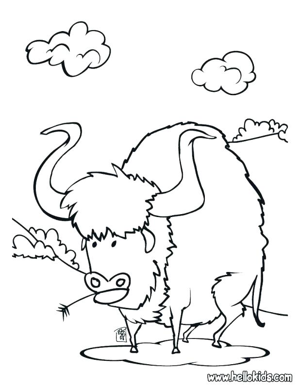 Buffalo Coloring Page Click To See Printable Version Of Buffalo 618x799 Buffalo Coloring Page Click To See Printable Version Of Buffalo
