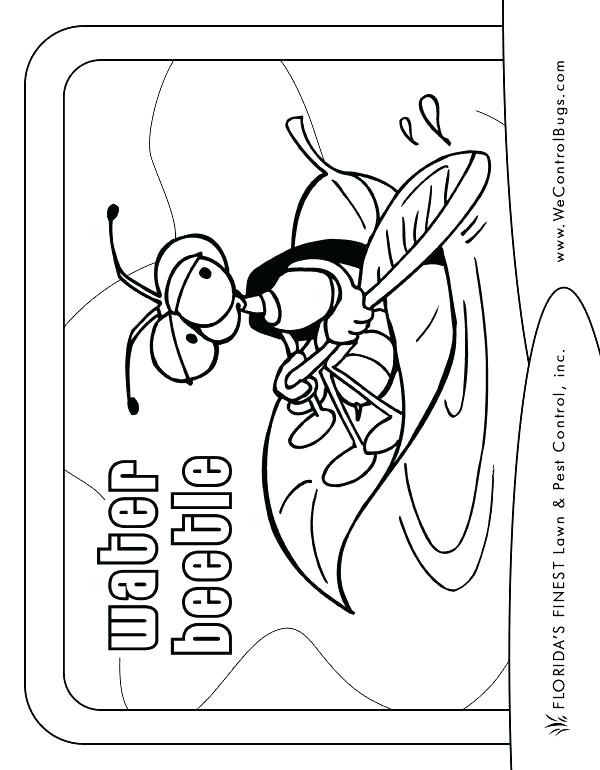 600x770 Water Conservation Coloring Pages Professional