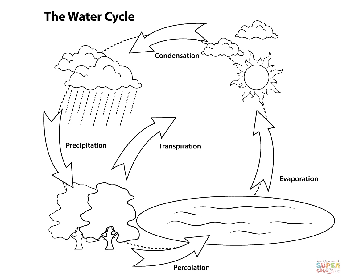 Water Cycle Coloring Page Unique Simple Water Cycle Coloring Page 1125x907 Water Cycle Coloring Page Unique Simple Water Cycle Coloring Page