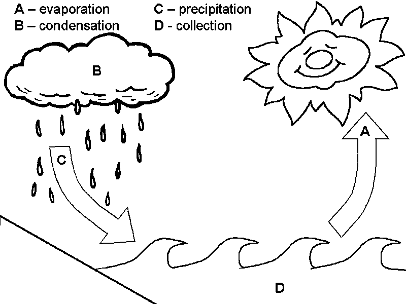 800x600 Water Cycle Coloring Page Water Cycle Diagram Coloring Pictures