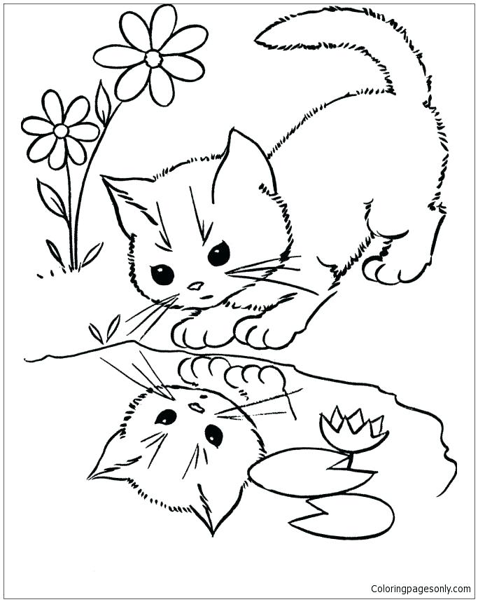 683x859 Water Cycle Coloring Pages Water Cycle Coloring Page Amazing Water