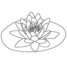 Water Lily Coloring Page