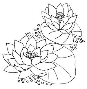 300x308 Water Lilies Coloring Page 10 Free Flowers Coloring Book