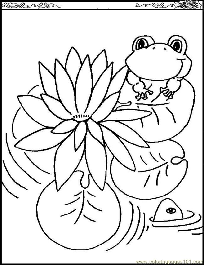 650x847 Water Lily Coloring Page