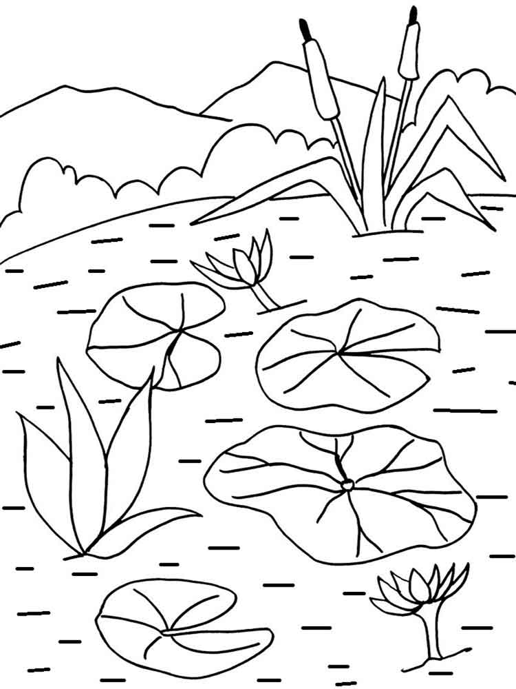 750x1000 Water Lily Coloring Pages. Download And Print Water Lily Coloring