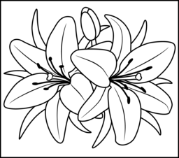 256x226 Flowers Coloring Pages