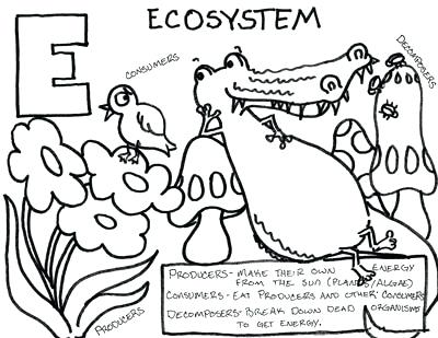 400x309 Tundra Habitat Coloring Pages Water Pollution