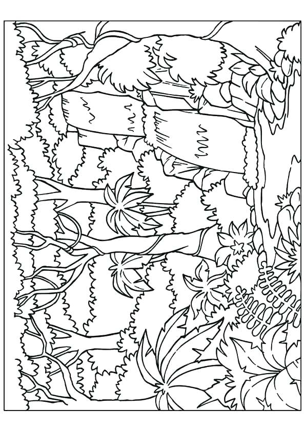 Waterfall Coloring Page at GetColorings.com | Free printable colorings ...