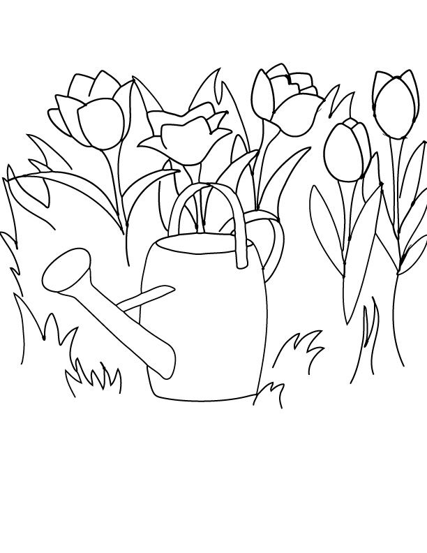 612x792 Free Printable Coloring Pageclipart Spring Tulips And A Watering
