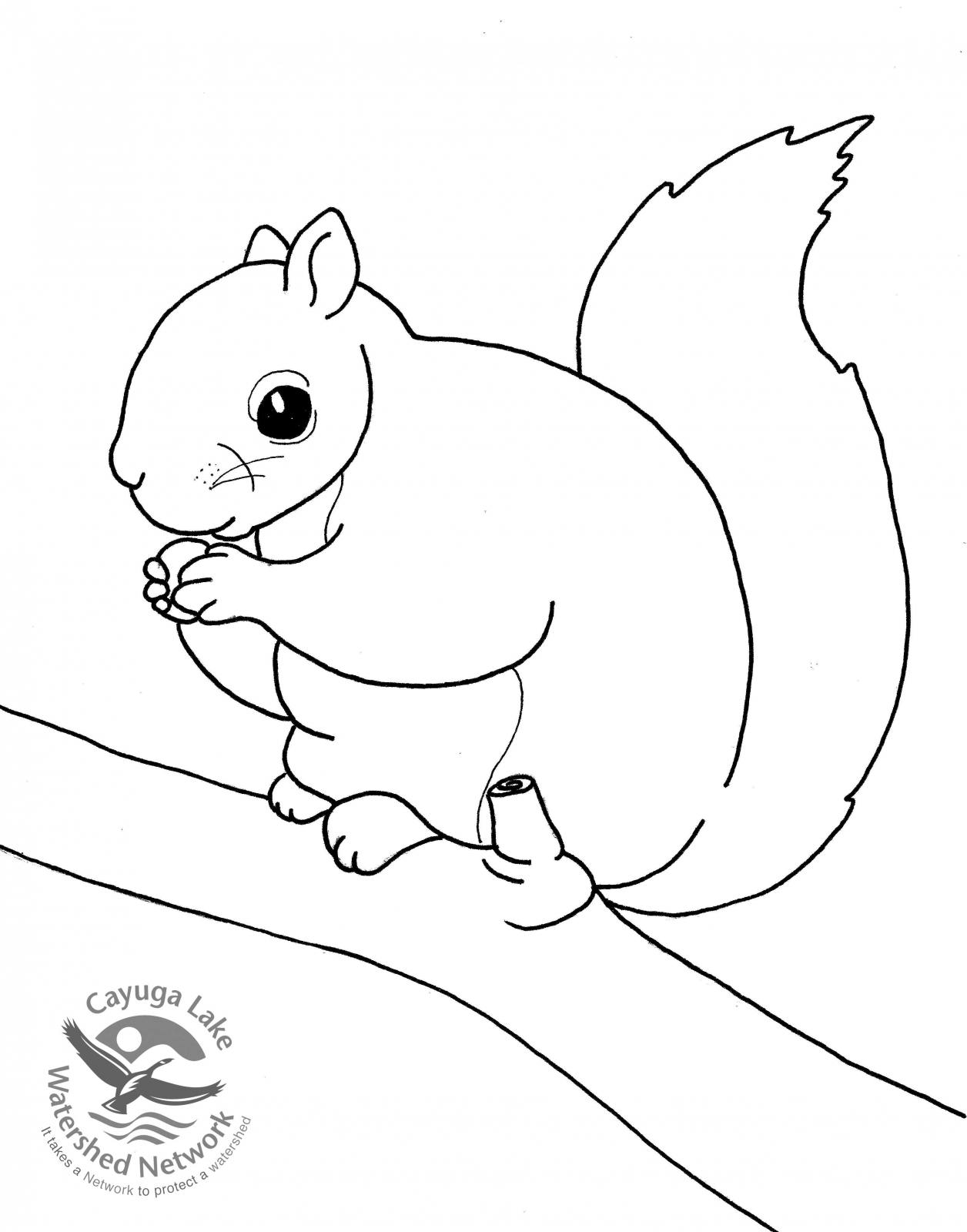 1256x1600 Coloring Pages And Activities Cayuga Lake Watershed Network