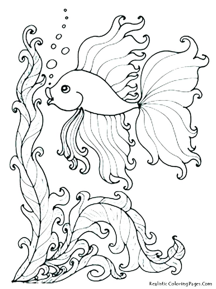 Ocean Color Pages Ocean Coloring Page Ocean Coloring Page 736x981 Ocean Color Pages Ocean Coloring Page Ocean Coloring Page