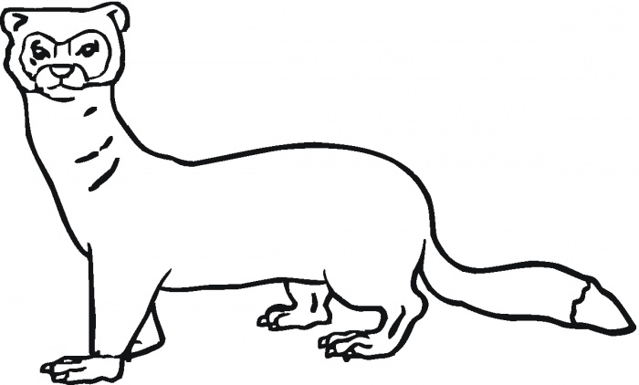 700x422 Weasel%20clipart Craftsart Zoo Phonics, Phonics