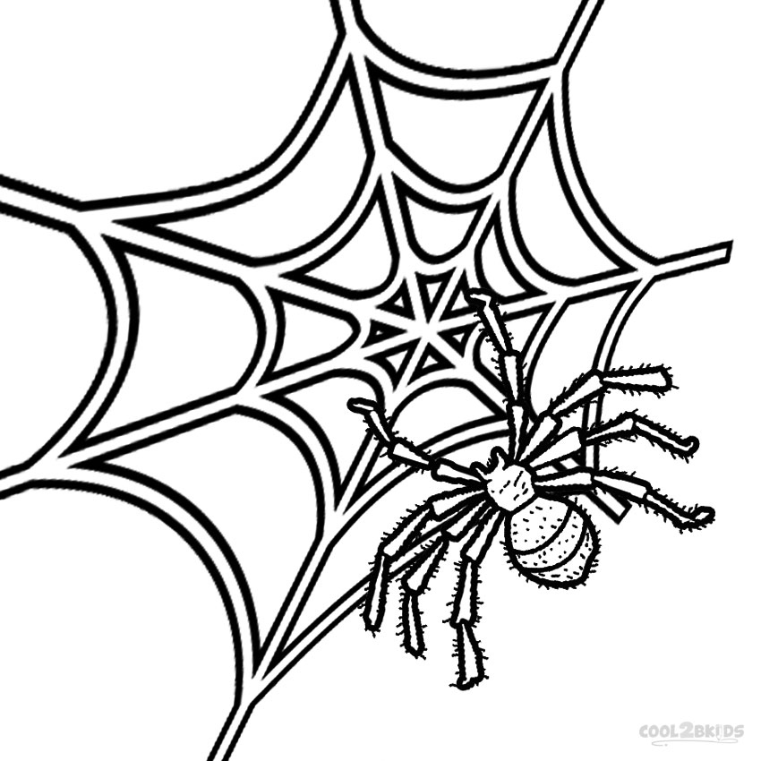 850x850 Spider Coloring Page Unique Printable Spider Web Coloring Pages