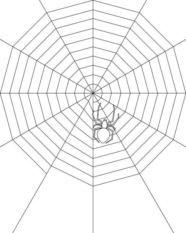 600x750 Spider Make Very Wide Spider Web Coloring Page Color Luna