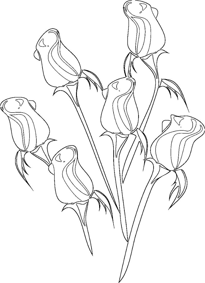 800x1101 Wedding Coloring Pages