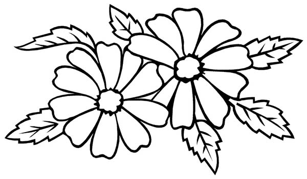 Flower For Wedding Party Coloring Page 600x351 Flower For Wedding Party Coloring Page