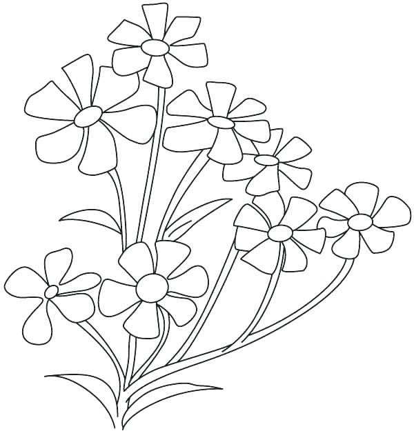 Spinach Coloring Star Coloring Pages Printable Spinach Page 600x625 Spinach Coloring Star Coloring Pages Printable Spinach Page