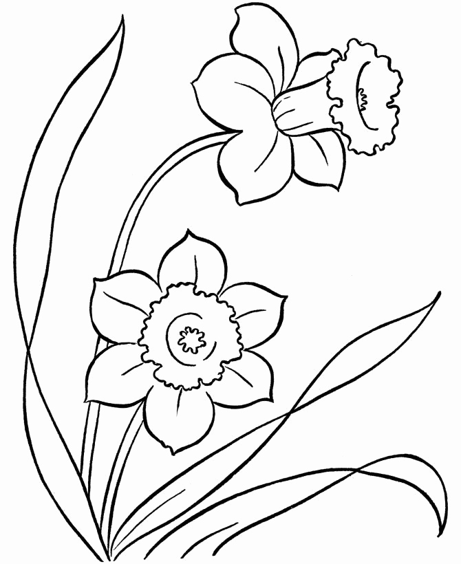 7 Fantastic Wedding Coloring Pages For Kids Wedding Bouquet 670x820 7 Fantastic Wedding Coloring Pages For Kids Wedding Bouquet