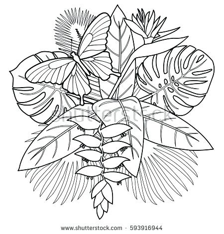 Best Wedding Coloring Pages Flower Bouquet Plus Wedding Coloring 450x470 Best Wedding Coloring Pages Flower Bouquet Plus Wedding Coloring