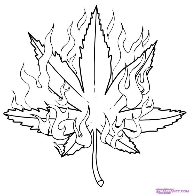 736x753 Leaves To Colornd Print Coloring Pages For Children Is