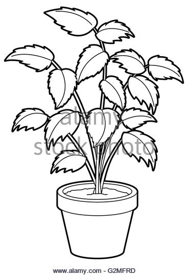 368x540 Drawn Pot Plant Seven Many Interesting Cliparts