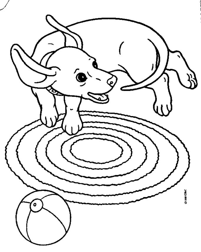 Weenie Dog Coloring Pages