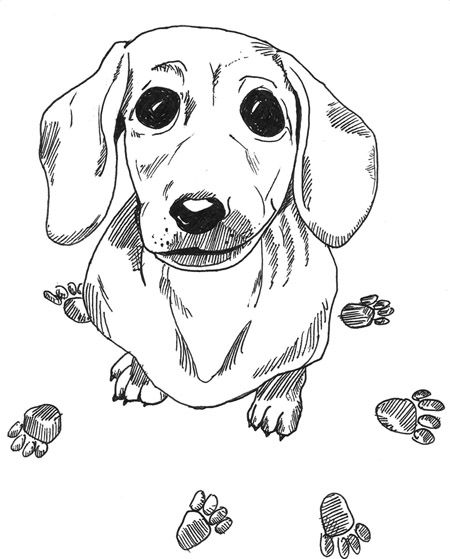 450x559 Dachshund Printable Coloring Pages Doxie Heaven