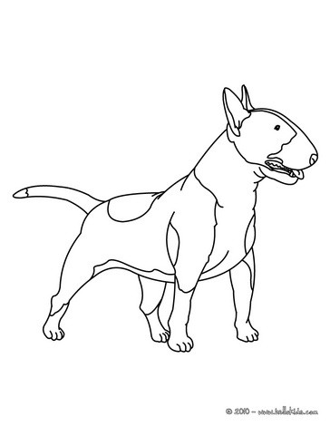 364x470 Dachshund Puppy Coloring Pages
