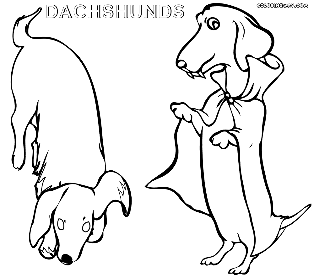 1000x883 25 Dachshund Coloring Pages Pictures Free Coloring Pages